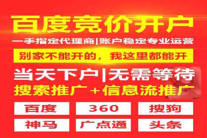 百度竞价推广运营策略：成功案例解析
